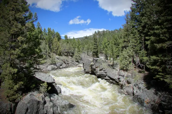 Hellroaring Creek - Yellowstone 