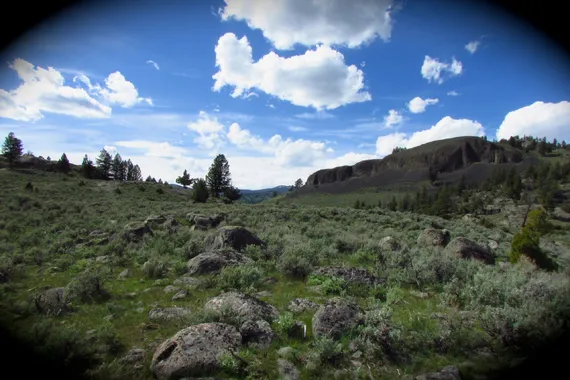 Black Canyon Yellowstone National Park