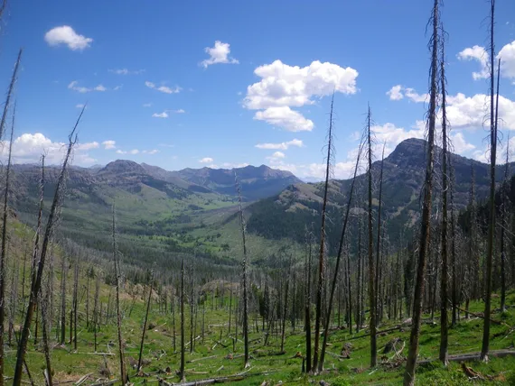 Yellowstone National Park, Bliss Pass, Northern Rockies