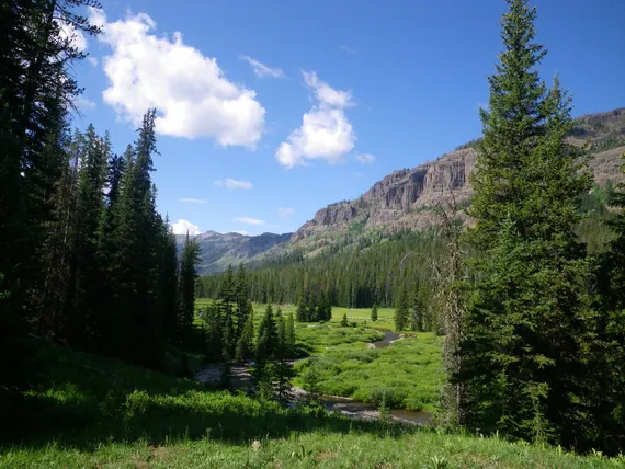 Yellowstone, Pebble Creek