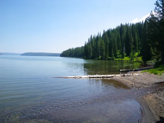 Shores of Shoshone Lake - Yellowstone Guidelines 