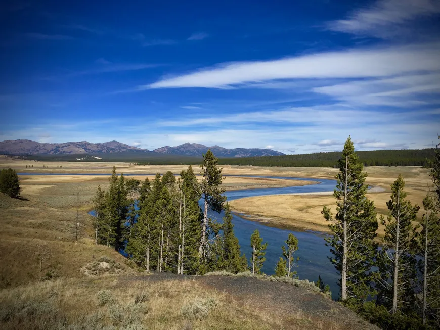 View from Grizzly Overlook - YNP 
