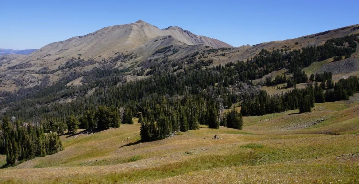 Electric Peak of the Gallatin Mountains in Yellowstone National Park