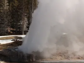 Riverside Geyser - Yellowstone Geology 